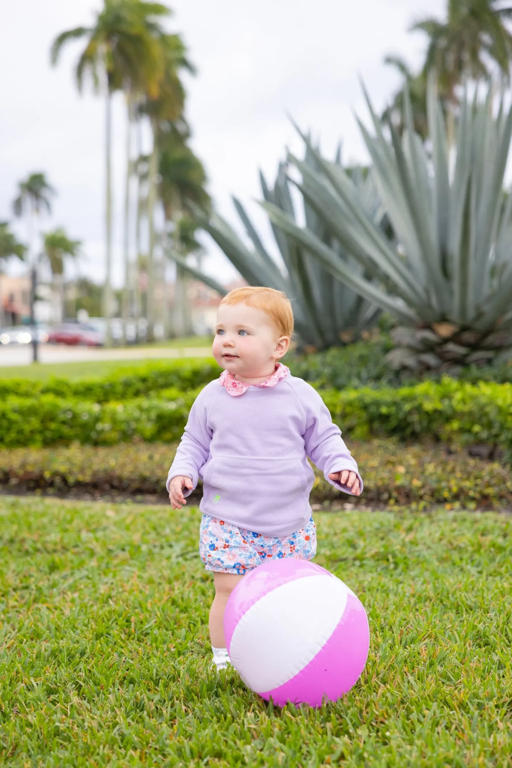 Toddler Crewneck-Dudley Stephens Online